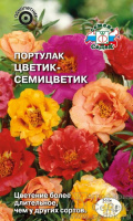 Портулак Цветик-семицветик - купить с доставкой