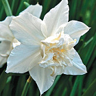 Нарцисс Уайт Марвел