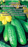 Огурец Козырная карта F1 - купить с доставкой