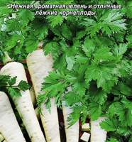 Петрушка корневая Доброе утро ® - купить с доставкой