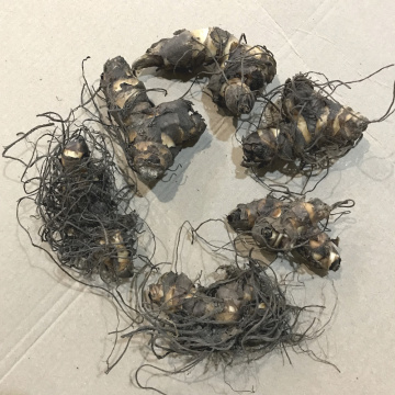 Стандарт поставки 1 Канна Вайоминг