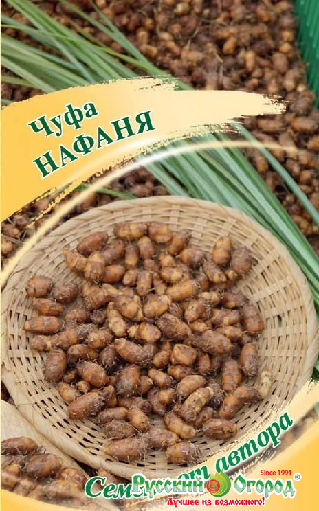 Чуфа купить семена интернет магазин как марихуану влияет на беременность