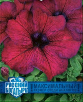 Петуния Великая бургунди F1,серия Русский богатырь - купить с доставкой