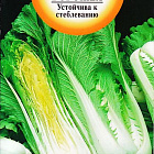 Зеленый