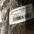 Ирис японский Энсата Вариегата