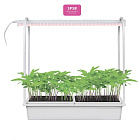 Набор Минисад Фитосветильник с подставкой ULT-P54-10W/SPSB IP20 WHITE