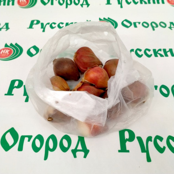 Стандарт поставки 6 Тюльпан Блек Джек 