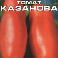 Томат Казанова - купить с доставкой