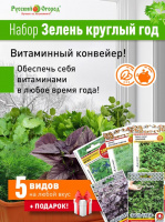 Набор Зелень круглый год - купить с доставкой