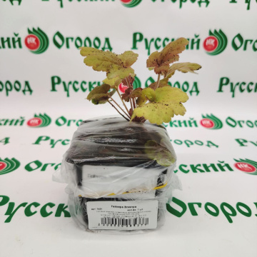 Стандарт поставки 1 Гейхера Электра