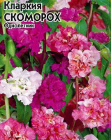Кларкия изящная Скоморох - купить с доставкой