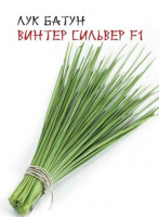 Лук Батун Винтер сильвер F1 - купить с доставкой