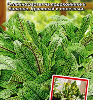 Щавель Сангвиник - купить с доставкой