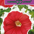 Красно-белый