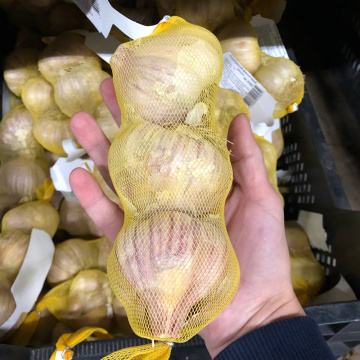 Стандарт поставки 4 Чеснок Ульяновский фиолетовый 