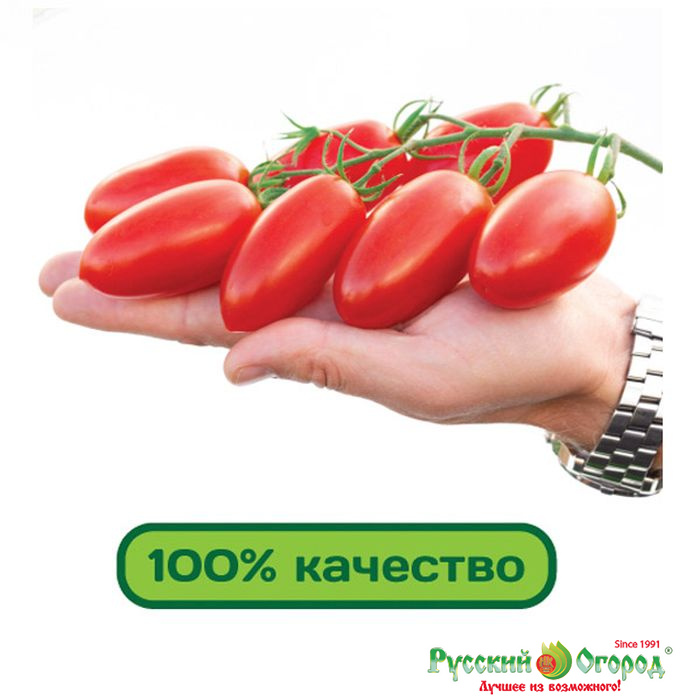 характеристика томатов джекпот фирмы партнер