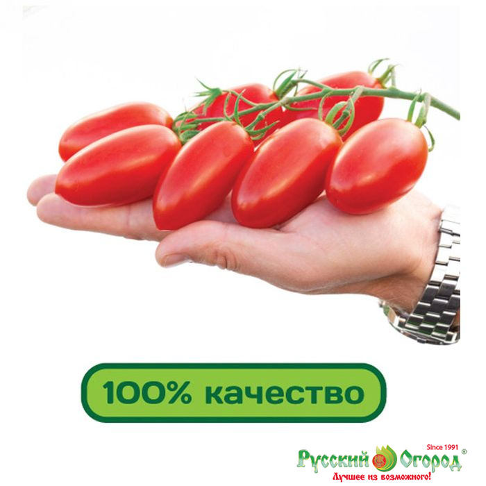 Фирма партнер купить семена томатов джекпот Фирма партнер купить семена томатов джекпот free bonus online casino no deposit required
