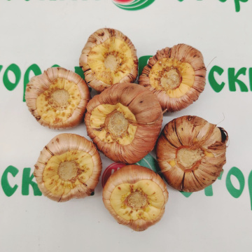 Стандарт поставки 6 Гладиолус Колор Клаб