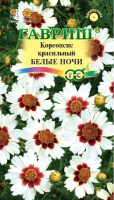 Кореопсис Белые ночи - купить с доставкой