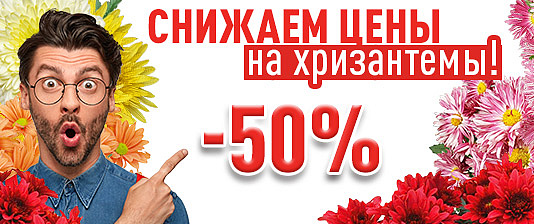 Хризантемы-тройняшки за полцены!