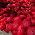 Ранункулюс Романс Гет Лаки