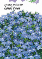 Лобелия Синий кулон, ампельная - купить с доставкой