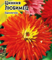 Цинния Любимец - купить с доставкой