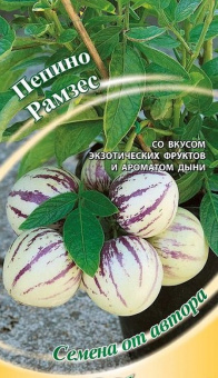 Пепино Рамзес