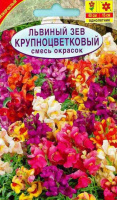 Львиный зев Крупноцветковый, смесь окрасок - купить с доставкой