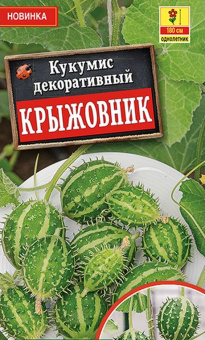 Кукумис декоративный Крыжовник