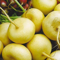 Репа Петровская, семена Сказки на грядке