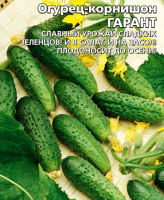 Огурец Гарант корнишон - купить с доставкой