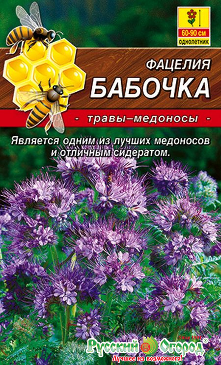 Купить Семена Фацелии В Интернет Магазине Недорого Купить Семена Фацелии В Интернет Магазине Недорого