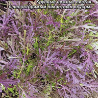 Горчица салатная Чудеса в решете - купить с доставкой