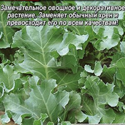 Катран (хрен) к Холодцу