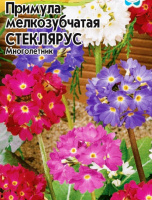 Примула мелкозубчатая Стеклярус, смесь - купить с доставкой