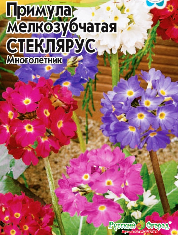 Нива семена хабаровск