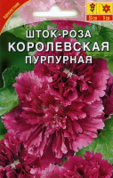 Шток-роза Королевская пурпурная - купить с доставкой