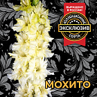 Гладиолус Мохито