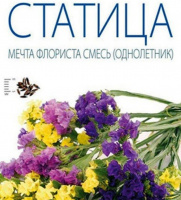 Статица Мечта флориста смесь - купить с доставкой