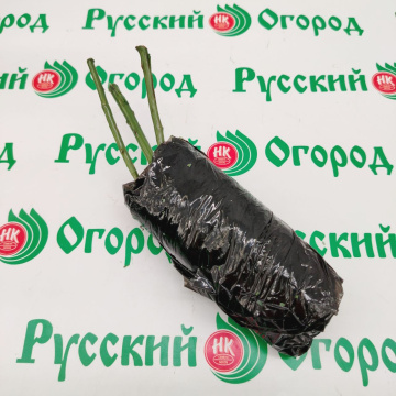 Стандарт поставки 6 Роза Сунита