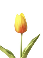 Искусственный цветок Желтый Тюльпан - купить с доставкой