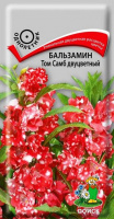 Бальзамин Том Самб двуцветный - купить с доставкой