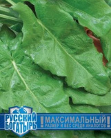 Щавель Крепыш - купить с доставкой