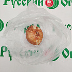Гладиолус Ирина Слуцкая