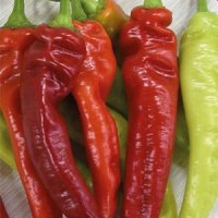 Перец острый Огненный флажок - купить с доставкой