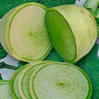 Редька китайская Зеленая богиня® - купить с доставкой