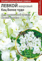 Левкой кац Белое чудо махровый - купить с доставкой