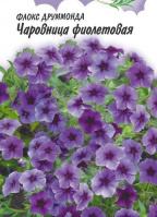 Флокс Чаровница фиолетовая, друммонда - купить с доставкой