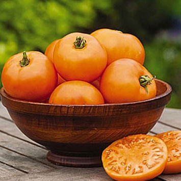 Оранжевые томаты: выбираем лучшие сорта!